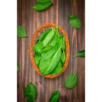 spinach (8)-2182254-53640.webp